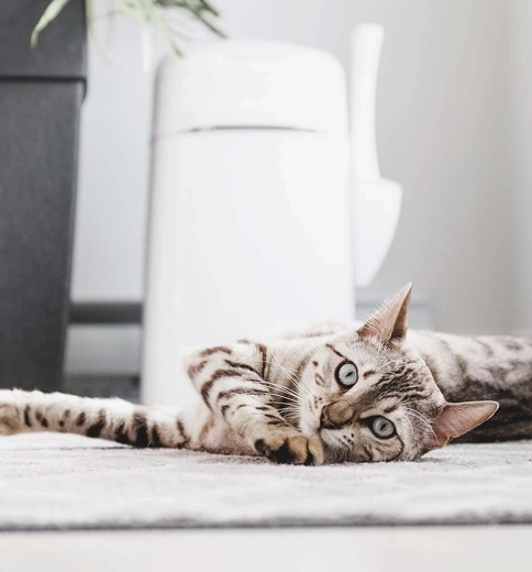 Praktické príslušenstvo a prenos