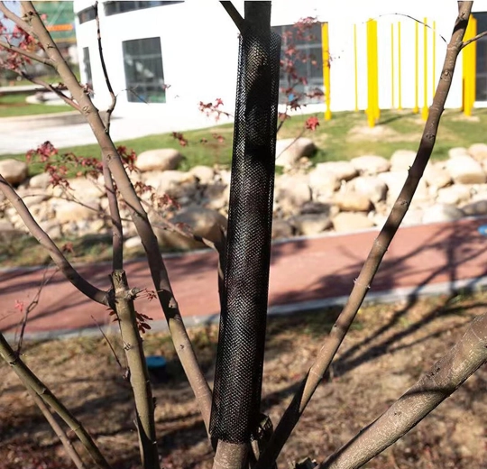 Účinná mechanická ochrana kôry