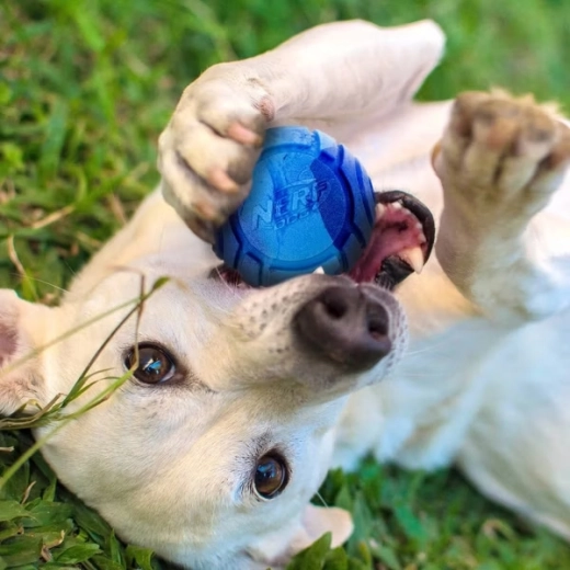 Vôňa, ktorá láka ku hre