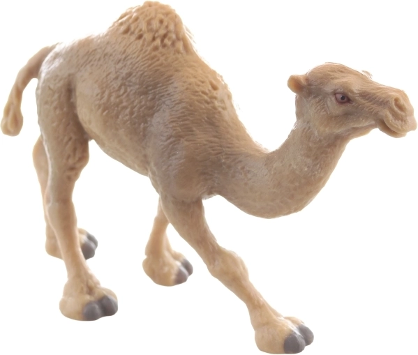 Odolný plast a stabilný postoj