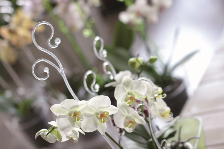 Dekoratívna opora, ktorá zvýrazní krásu kvetov