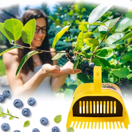 Čistejšia úroda bez listov