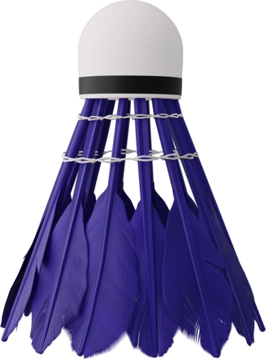 Rýchly a stabilný let s kačacími perami