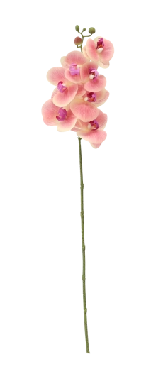 Dĺžka 74 cm pre elegantné aranžovanie