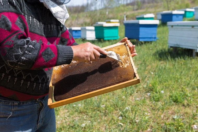 Rýchlejšia práca vo včelnici