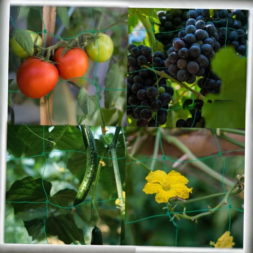 Univerzálne použitie na záhrade aj v skleníku