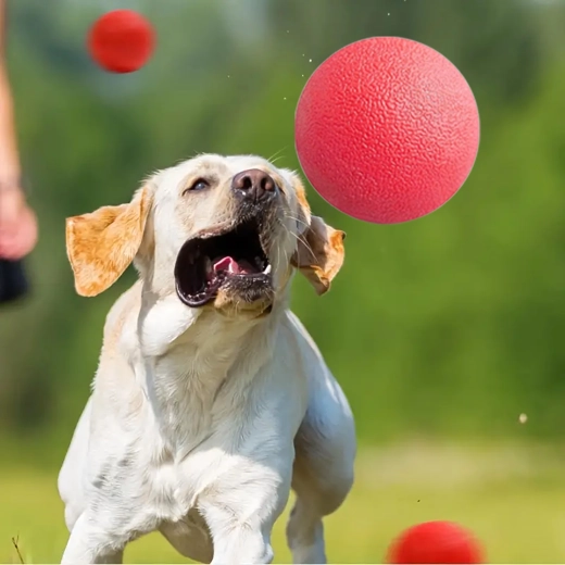 Šetrná k zubom a podporuje dentálnu hygienu