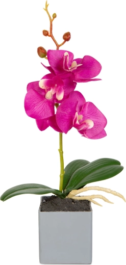 Realistický vzhľad orchidey