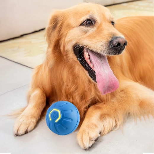 Odolný a bezpečný dizajn pre zuby aj labky