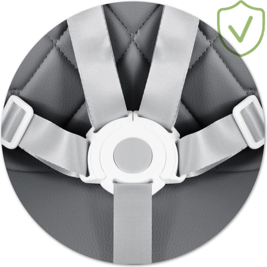 Maximálne bezpečie s 5-bodovým pásom