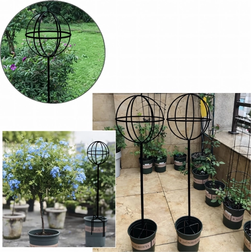 Ideálna do kvetináčov aj záhonov