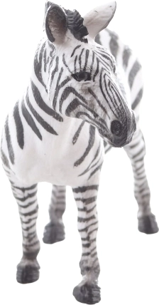 Ideálne na výučbu aj do zbierok