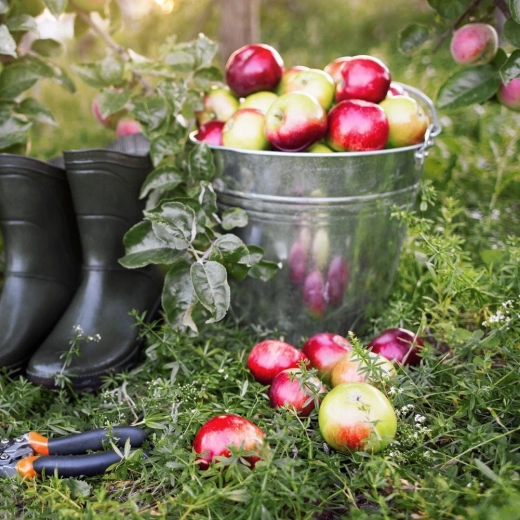 Univerzálne využitie doma aj vonku