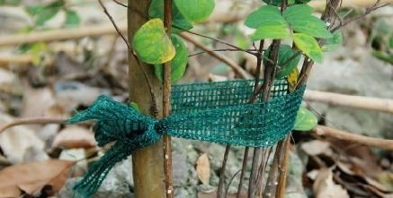 Sada 3 pások na vyväzovanie rastlín, dĺžka 3 m