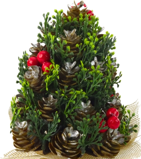 Realistické detaily šišiek a bobúľ