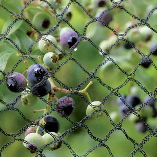 Spoľahlivá ochrana úrody a rastlín