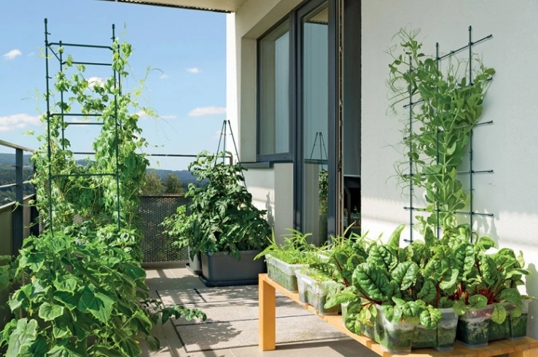 Ideálne pre záhrady aj balkóny