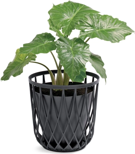 Skvelý aj ako obal na kvetináč