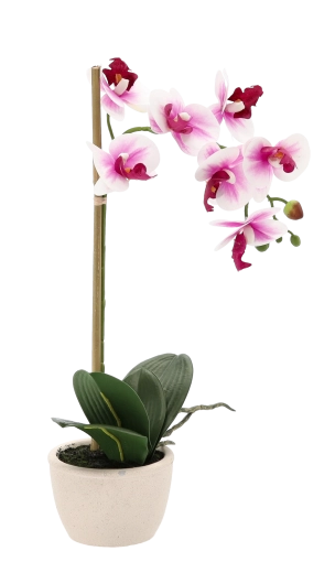 Prirodzene realistické kvety a listy