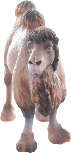 Odolný plast a stabilný postoj