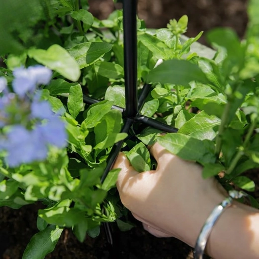 Stabilná podpora pre bohaté kvitnutie