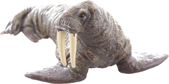 Ideálne na učenie aj zbieranie