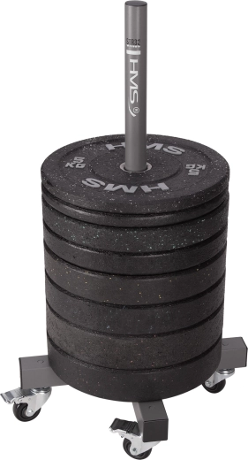 Vertikálne úložisko pre olympijské kotúče 50 mm