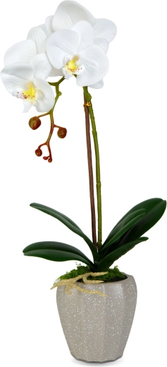 Realistický vzhľad orchidey