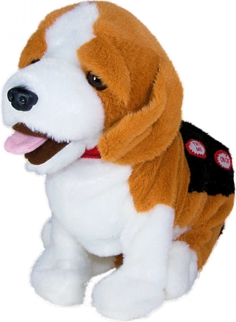 Podporuje rozvoj zručností