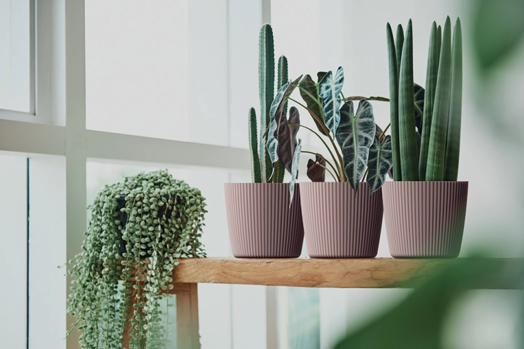 Štýlová dekorácia pre domov aj balkón