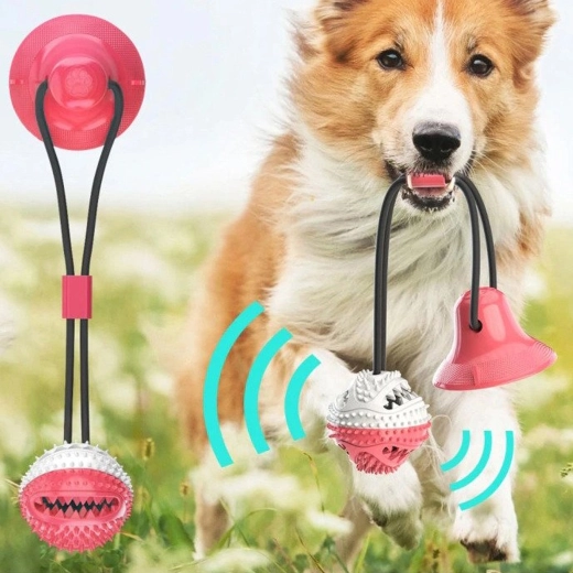 Zdravé zuby a ďasná pri každej hre