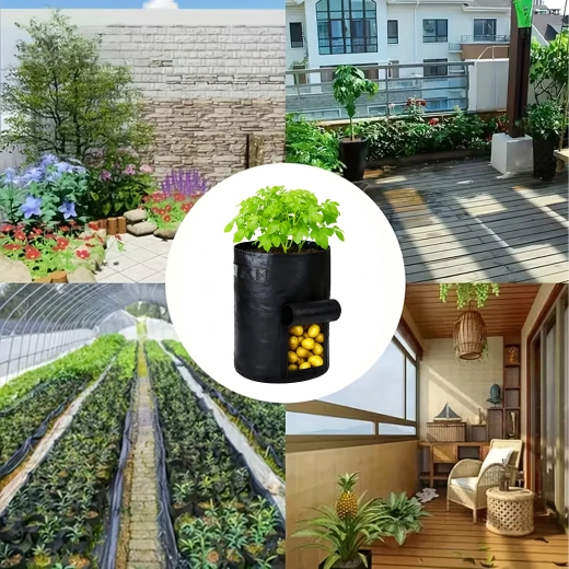 Prenášanie a pestovanie kdekoľvek