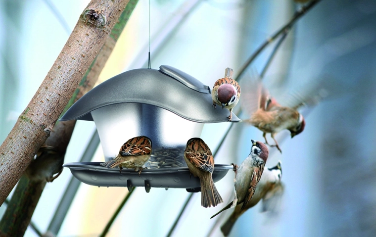 Priehľadná nádoba pre jednoduchú kontrolu krmiva