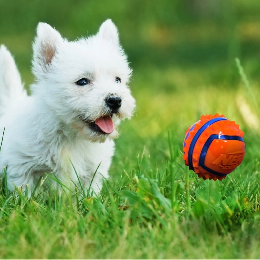 Vysoká viditeľnosť pri vonkajšej hre