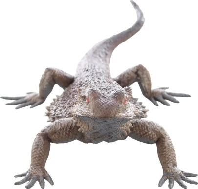 Bezpečné a vhodné pre deti od 3 rokov