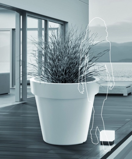 Veľký formát pre výrazné výsadby