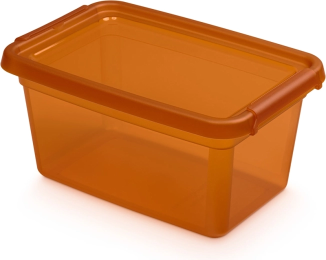 Basestore úložná dóza s vekom a klipsami 4,5 l amber