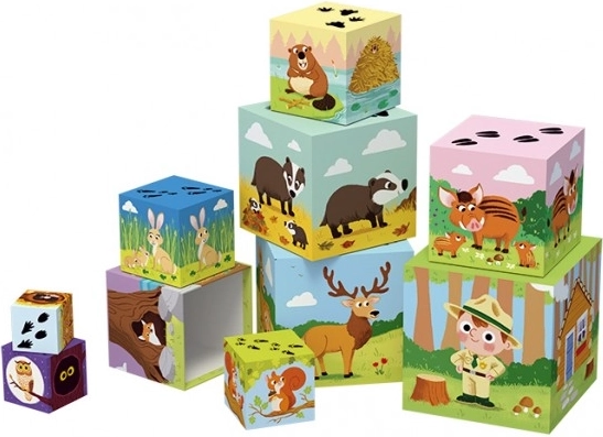 Edukačné lesné ilustrácie