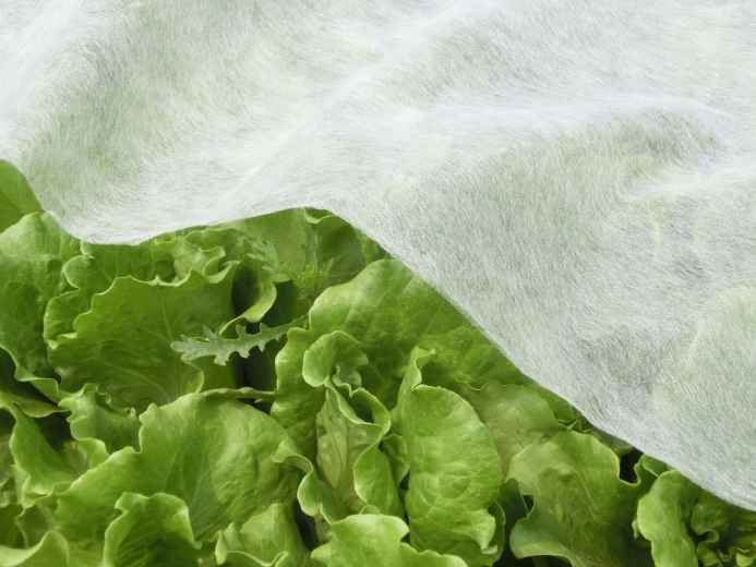 Priedušná a UV stabilná