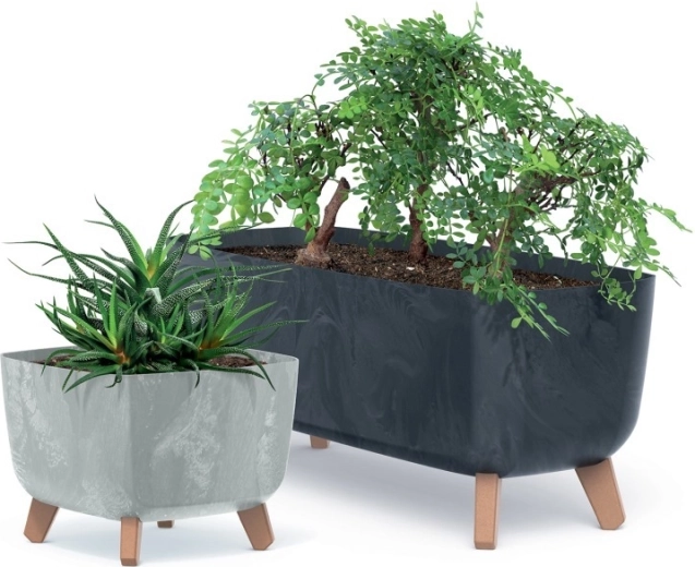 Premyslené riešenie pre zdravé korene