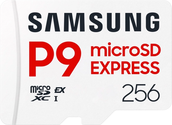 Pamäťová karta microSD P9 Express 256 GB