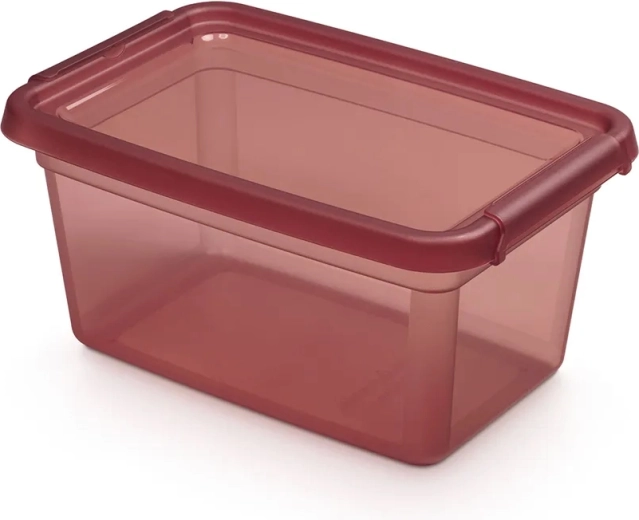 Basestore úložná dóza s vekom a klipsami 4,5 l rhubarb