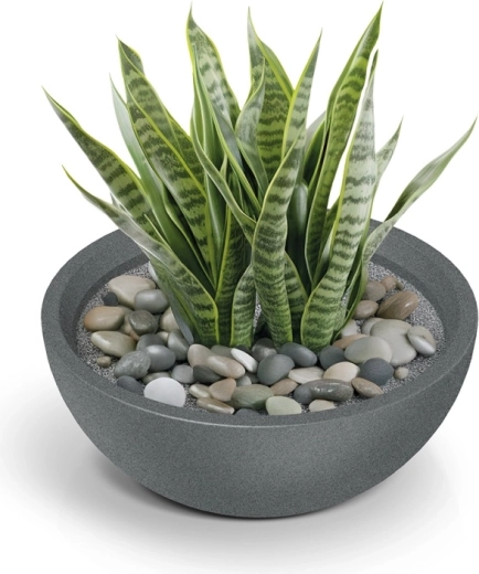 Ideálny pre bohaté výsadby