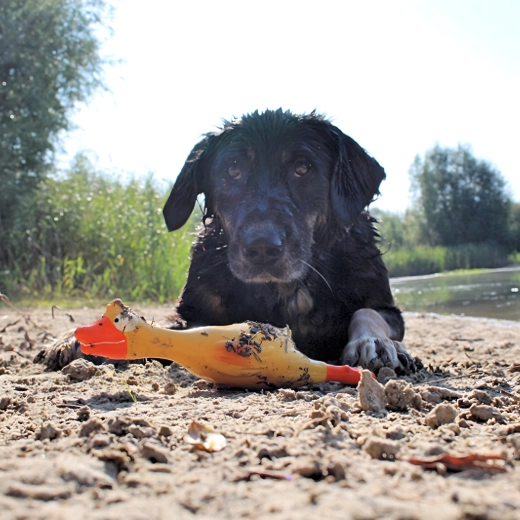 Jasná žltá farba pre ľahké dohľadanie