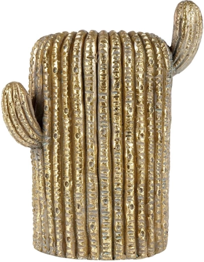 Realistická textúra kaktusu