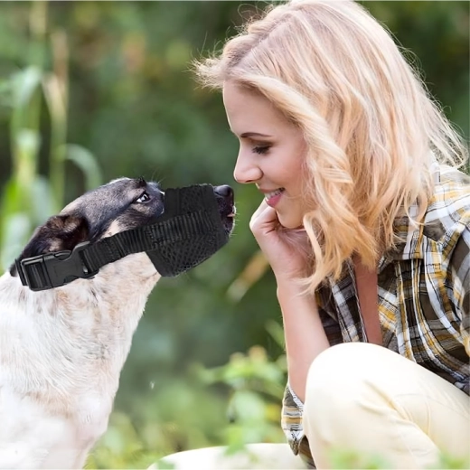 Bezpečie pri tréningu aj u veterinára