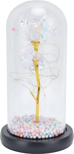 Sklenený dóm chráni a zdobí