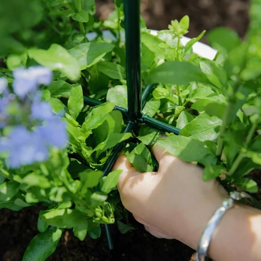 Stabilná opora pre zdravý rast