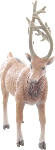 Ideálna veľkosť do malej rúčky