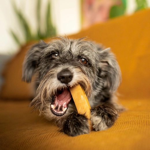 Podpora zdravých zubov a ďasien